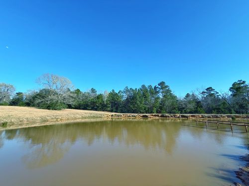 87 ac County Road 2471, Oakwood, TX, 75855 | Card Image