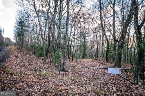 Lot 22 Buck Ridges Road, FRANKLIN, WV, 26807 | Card Image