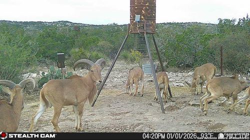 SD 630 Cr 630, Rocksprings, TX, 78880 | Card Image