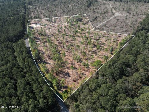 16.36 +/- Noel Townsend Rd, Seminary, MS, 39479 | Card Image