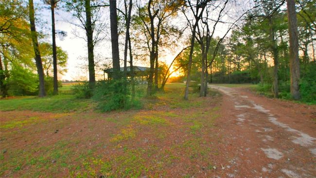 Cleared Property | Image 47