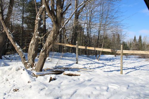 494 Twin Sister Lakes Rd, Marmora, ON, K0K2M0 | Card Image