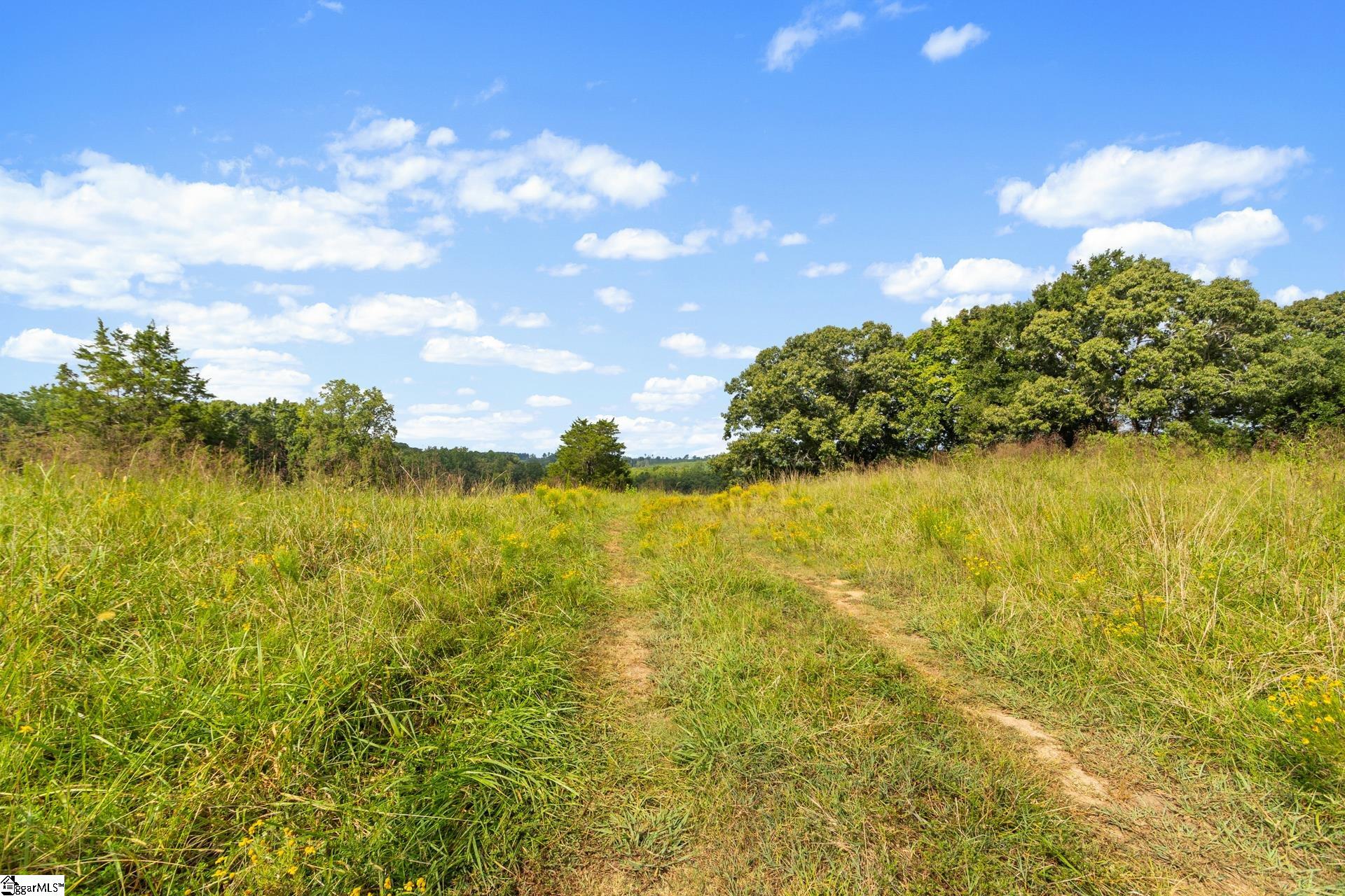 Land in Laurens 5