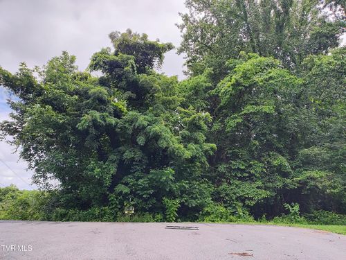 Lot 51 Raven Cir, Kingsport, TN, 37664 | Card Image