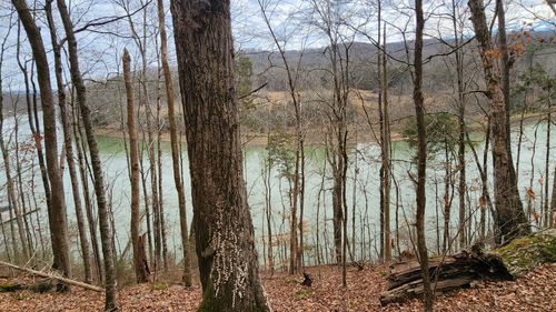 0 Simmons Cemetery Rd, Quebeck, TN, 38579 | Card Image