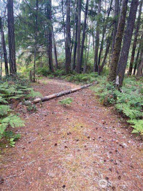 31 N Rainbow Way W, Hoodsport, WA, 98548-9806 | Card Image