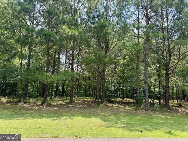 LOTS 90 & 91B Wright Way Dr, Home with 0 bedrooms, 0 bathrooms and null parking in Wedowee AL | Image 6