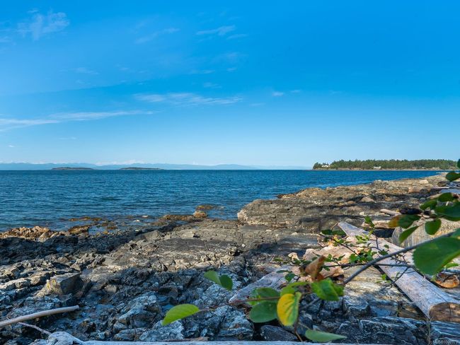 1380 Reef Rd, House other with 2 bedrooms, 4 bathrooms and 6 parking in Nanoose Bay BC | Image 51