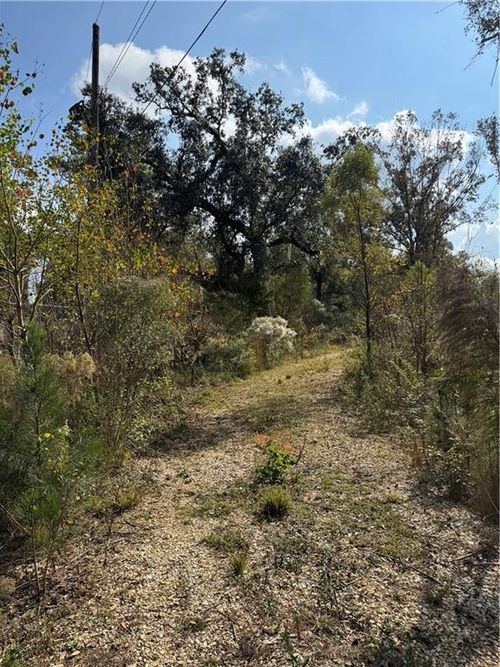 TBD Patterson Rd, Springfield, LA, 70462 | Card Image