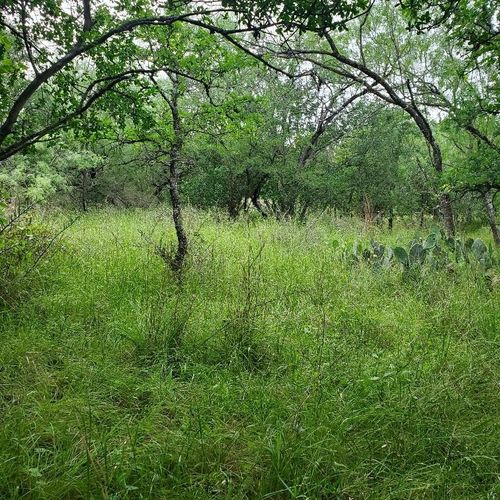 Lots 521, 522 Lake Drive, Granite Shoals, TX, 78964 | Card Image