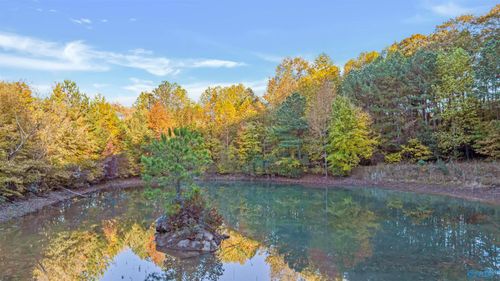 10.57 acres County Road 166, Fort Payne, AL, 35967 | Card Image