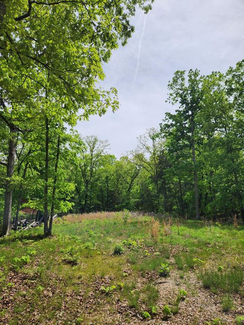 110 Tierra Trail Lampe, Lampe, MO, 65681 | Card Image