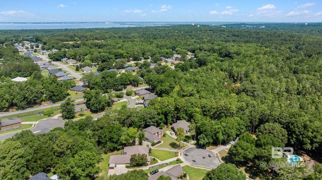 Aerial View | Image 57