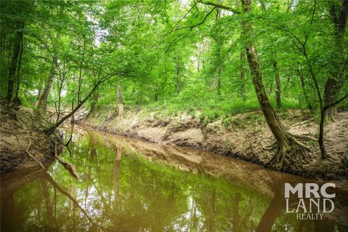 00 Dorsey Rd, Hemphill, TX, 75948 | Card Image