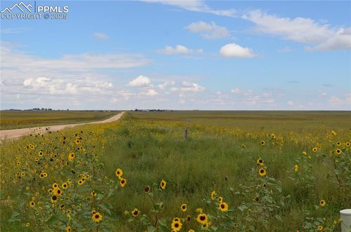 Parcel 6 County Road 2, Rush, CO, 80833 | Card Image