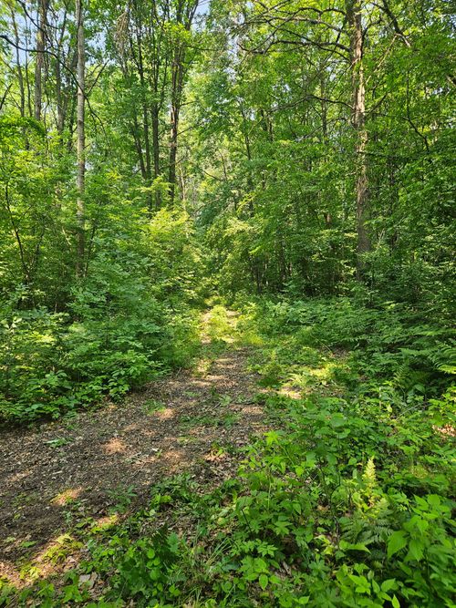 49 acres 16th Avenue, Cameron, WI, 54822 | Card Image