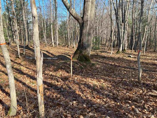 TBD-undeveloped Oak Ridge Lane, Houghton, MI, 49931 | Card Image