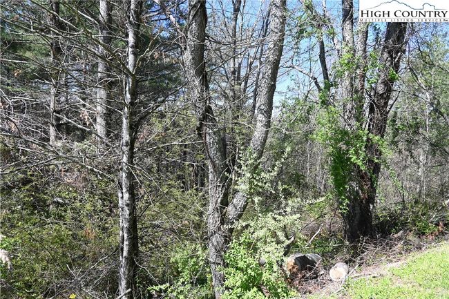 15 River Bend Hills Rd, Home with 0 bedrooms, 0 bathrooms and null parking in Crumpler NC | Image 4
