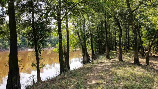 000 Highway 96 Byp, Home with 0 bedrooms, 0 bathrooms and null parking in Silsbee TX | Image 20