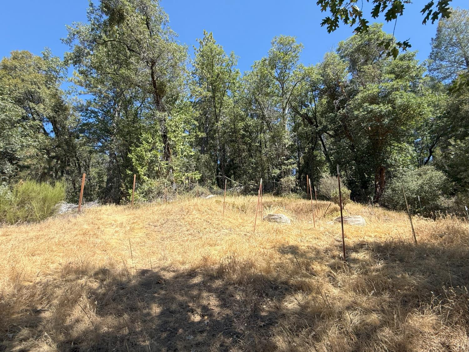 Land in Nevada City 4