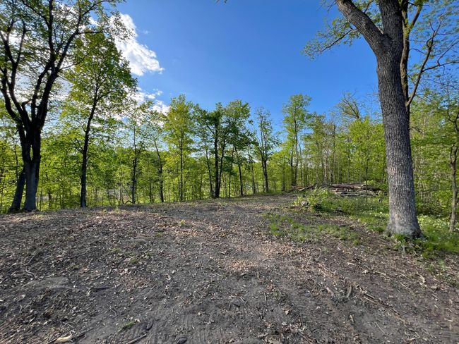 000 Cross Lake Rd, Home with 0 bedrooms, 0 bathrooms and null parking in Pine City MN | Image 29