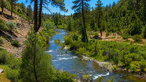 Lot 229 Yolla Bolly Rd, Igo, CA, 96047 | Card Image
