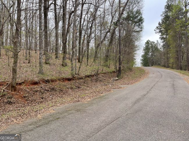 0 Green Oak Cir, Home with 0 bedrooms, 0 bathrooms and null parking in Thomaston GA | Image 7