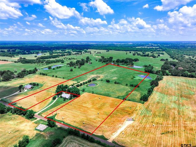 20 Acres County Road 3533, Home with 0 bedrooms, 0 bathrooms and null parking in Saltillo TX | Image 12