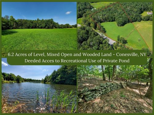 Lot 10 Bull Hill Rd, Gilboa, NY, 12076 | Card Image