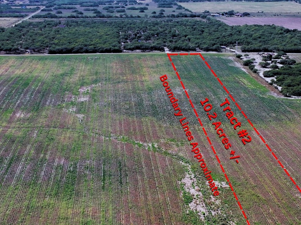 Land in Kingsville 3
