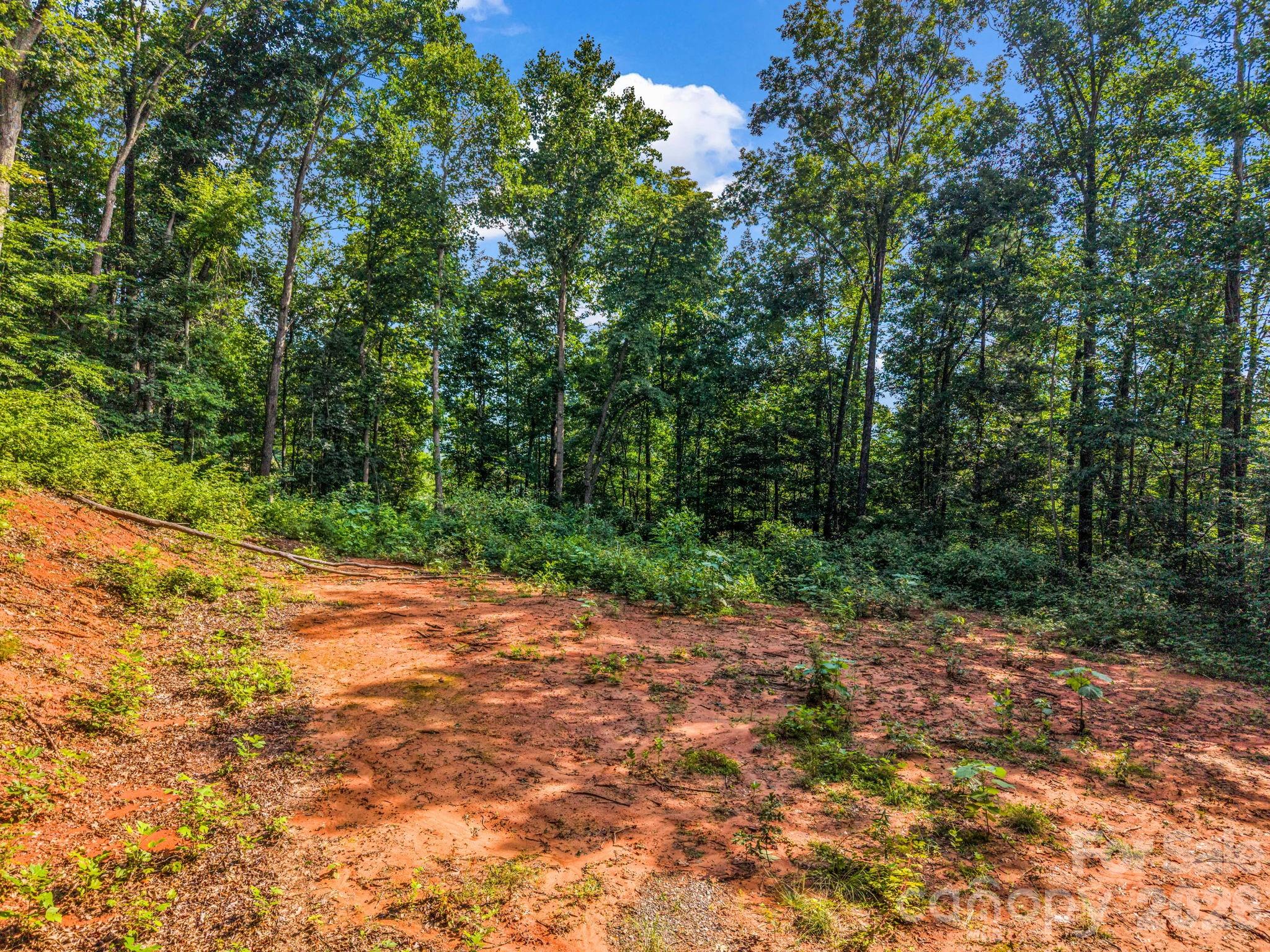 Land in Swannanoa 3