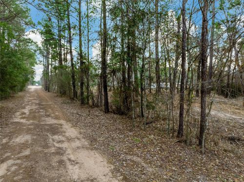 Lot 12 Mayhaw Lane, Plantersville, TX, 77363 | Card Image