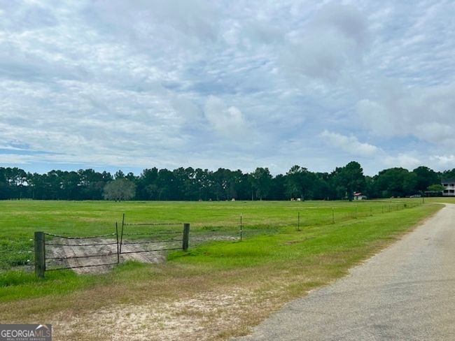 1302 Jim Sapp Rd, House other with 3 bedrooms, 3 bathrooms and null parking in Claxton GA | Image 48