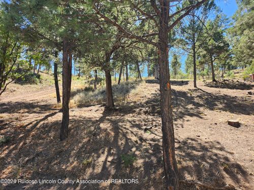 104 Catron Road, Ruidoso, NM, 88345 | Card Image