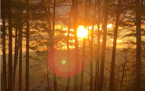 999 Blue Ridge Heights Dr, Blue Ridge, GA, 30513 | Card Image