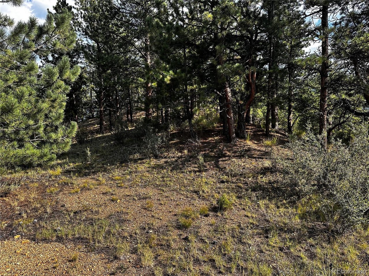 Land in Dumont 2