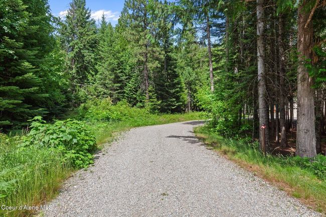 From North Driveway Exit for looped Driveway | Image 35