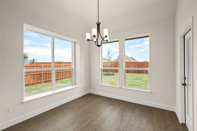 104 Calf- Nook-1 | Image 14