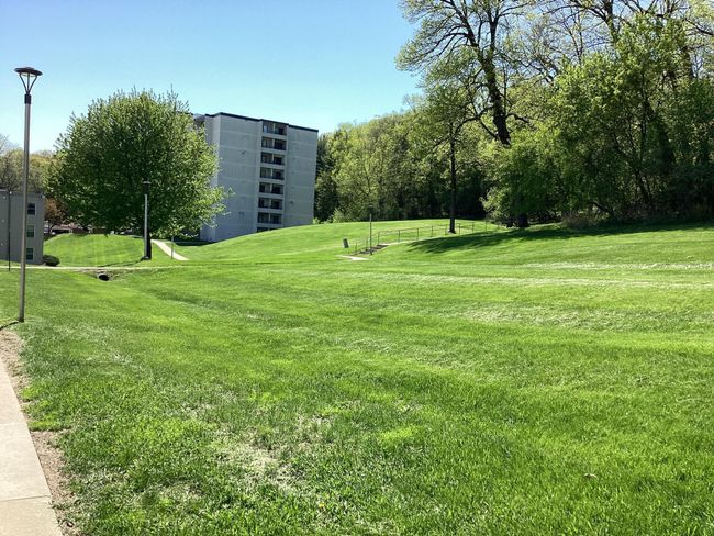 Common grounds | Image 14