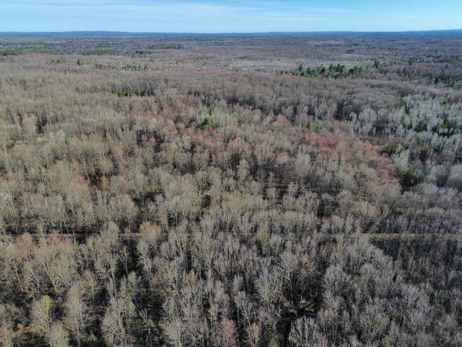 10830 3 Mile Rd, Home with 0 bedrooms, 0 bathrooms and null parking in Branch MI | Image 57