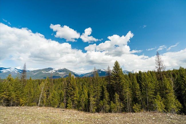 View from Cabin | Image 10