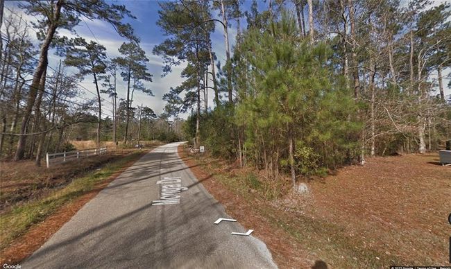 Lots 227 & 228 Monga Drive, Home with 0 bedrooms, 0 bathrooms and null parking in Covington LA | Image 4