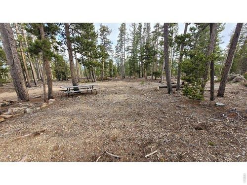 1421 Jicarilla Trl, Red Feather Lakes, CO, 80545 | Card Image