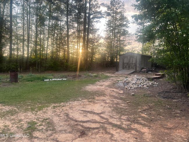 BACKYARD | Image 6