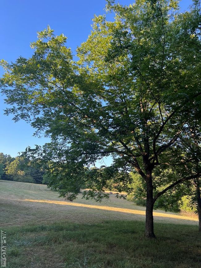 508 Eaton Ave, House other with 5 bedrooms, 4 bathrooms and null parking in Warrenton NC | Image 57