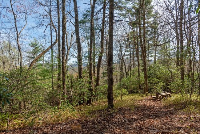 4 Trillium Ridge Rd, Home with 0 bedrooms, 0 bathrooms and null parking in Cullowhee NC | Image 9