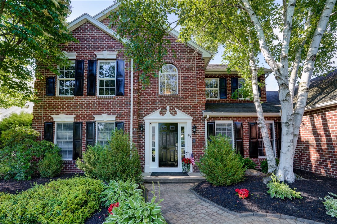 Toni Ter, Rochester, NY 14624