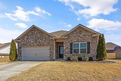 14328 Water Stream Dr Nw, Harvest, AL, 35749-5914 | Card Image