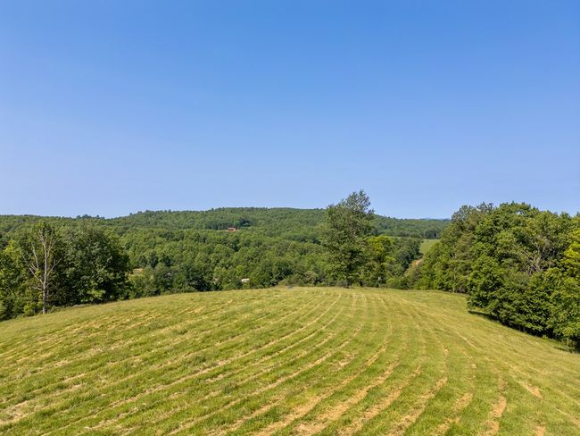 688 Gibson Knob Rd, Home with 0 bedrooms, 0 bathrooms and null parking in Laurel Fork VA | Image 33