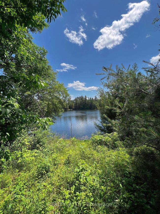 14276 Highway 41, Cloyne Road, Home with 0 bedrooms, 23 bathrooms and null parking in Addington Highlands ON | Image 5